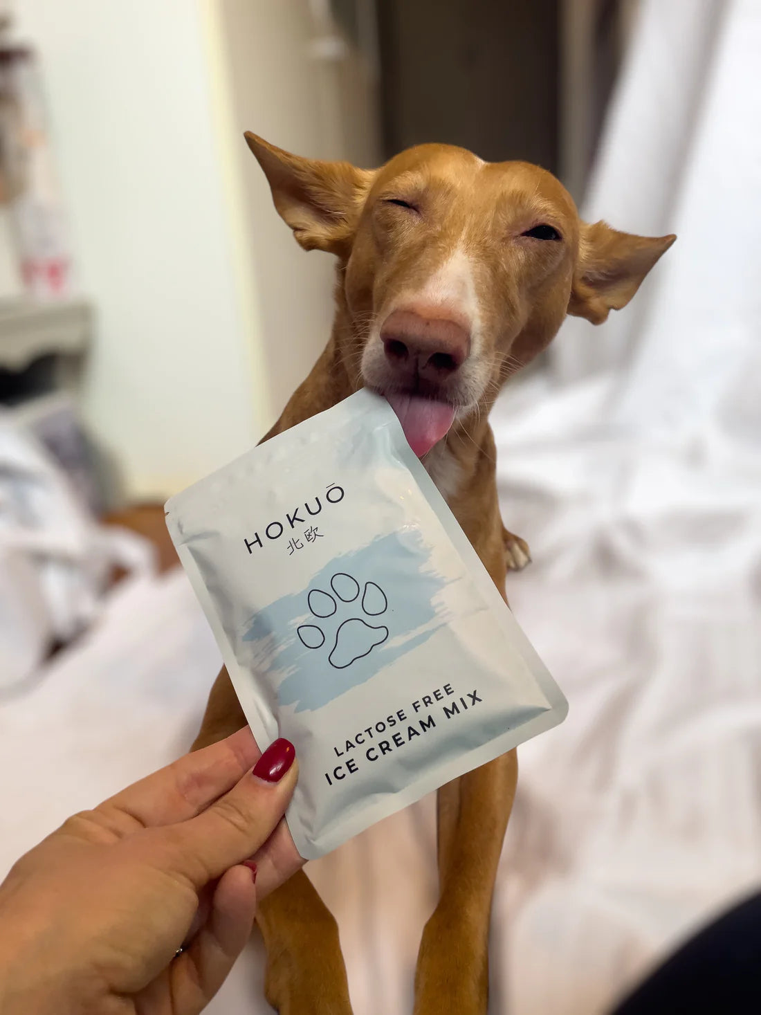 Hokuō® - Paw-sicle Kit