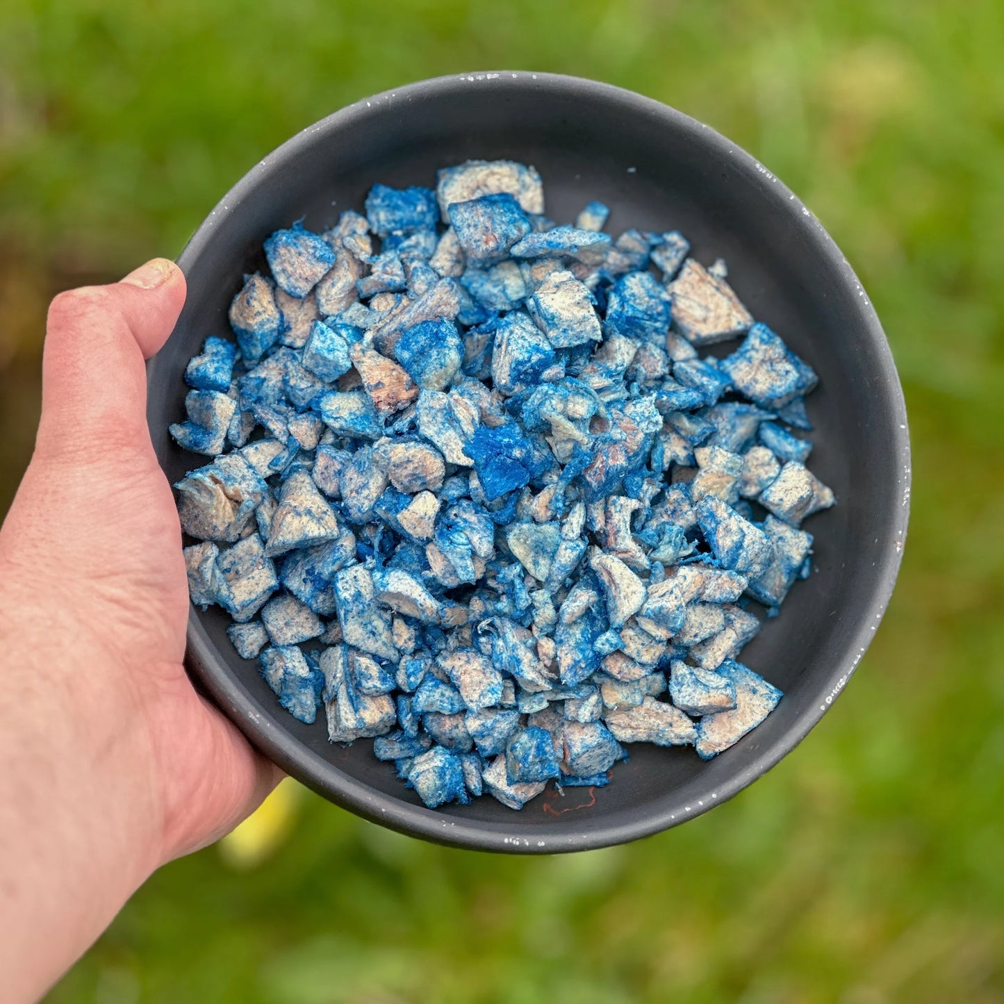 Hokuō® - Treats - Ultimate Blue Spirulina - 100g