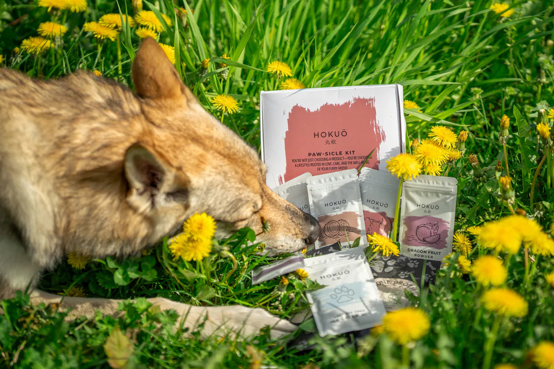 Hokuō® - Paw-sicle Kit
