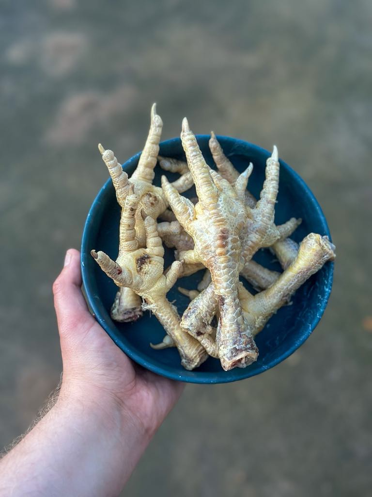 Hokuō® - Chews - Extra Frysetørkete kylling føtter - 200g